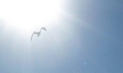 Энергия: «ядерная физика» православного богословия