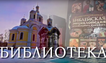 Библиотека